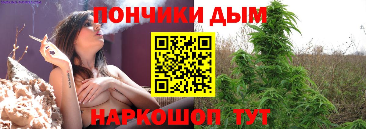 Марихуана семена Курчатов